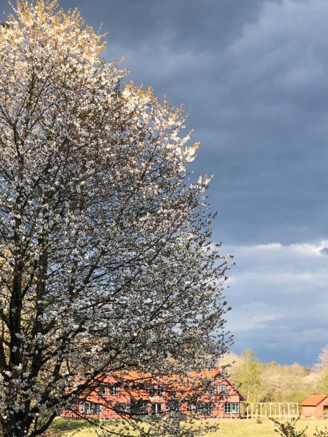 Villa Hasselbacken Gärsnäs Eksteriør bilde