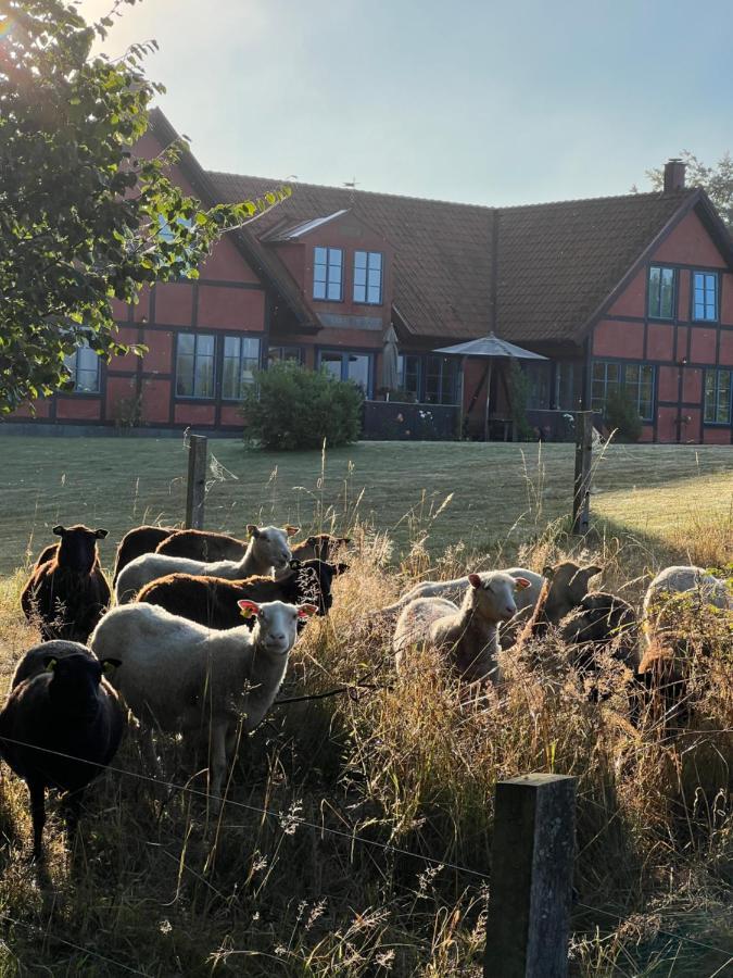 Villa Hasselbacken Gärsnäs Eksteriør bilde